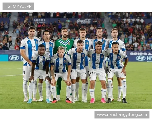 西甲数据平台：全面分析与实时跟踪西甲赛事表现的强大工具